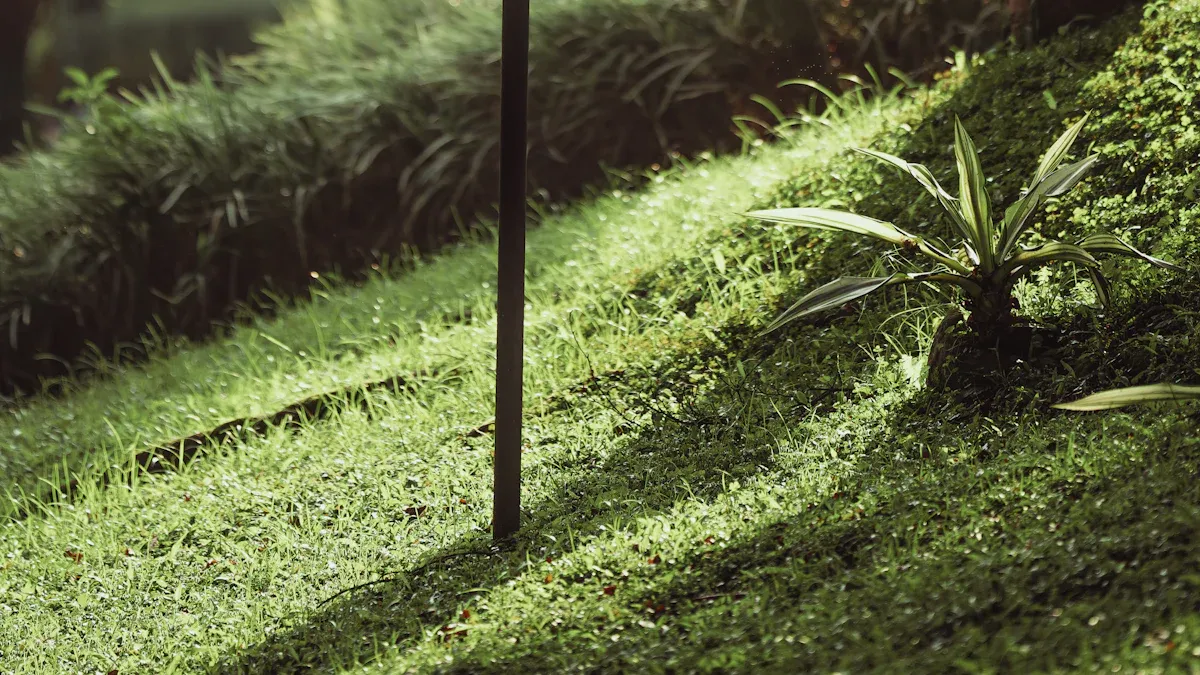 Solar Benefits for Your Garden Oasis