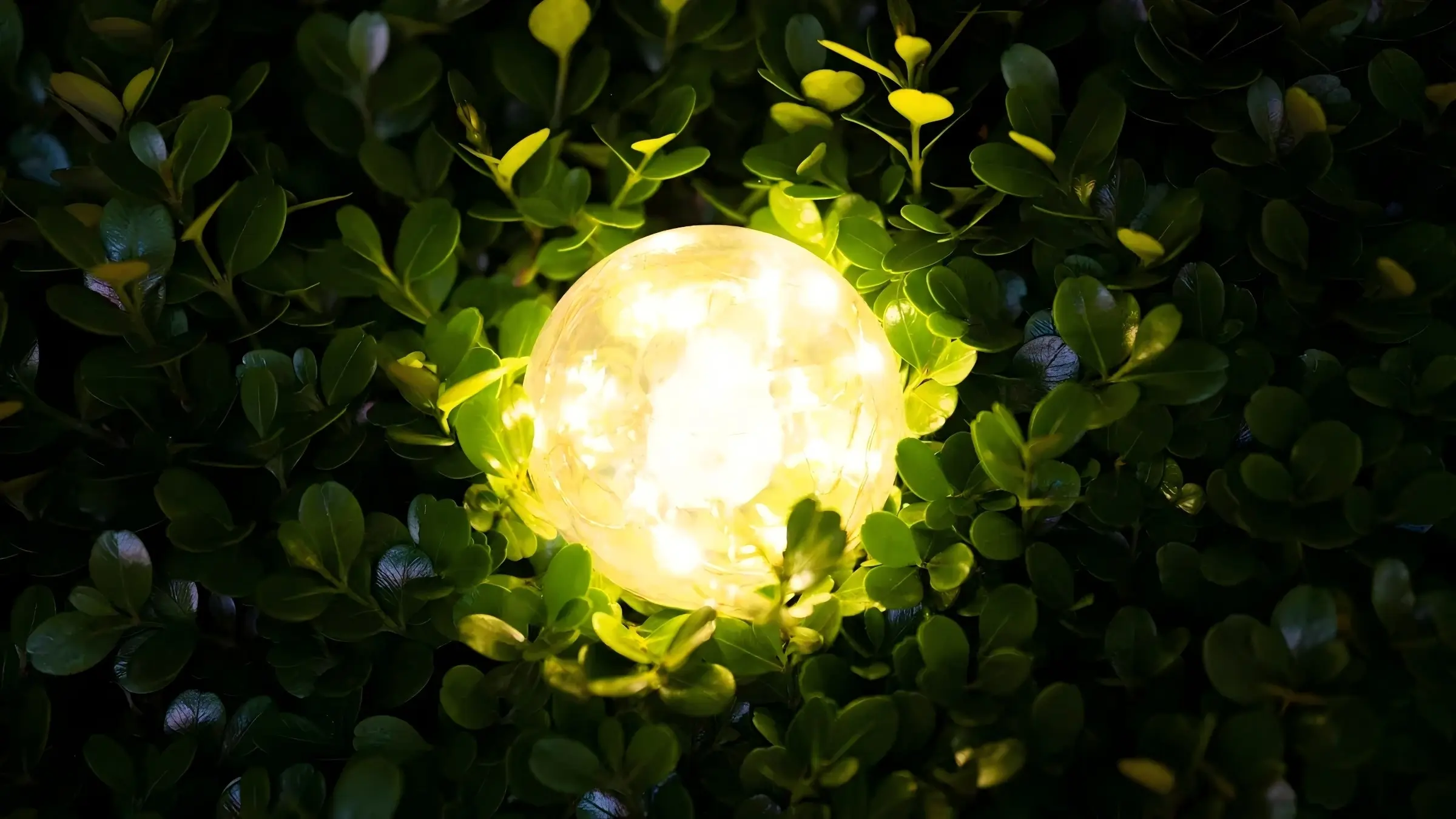 Outdoor Solar Sphere Lights Emerge as the Must-Have for Stylish Gardens